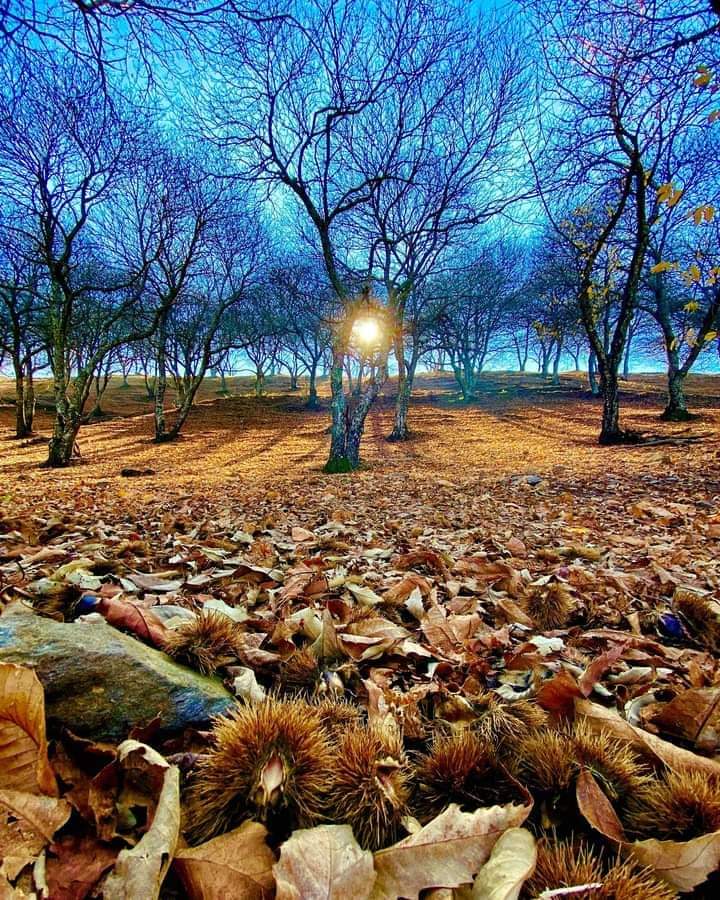 FB IMG 1639158847159