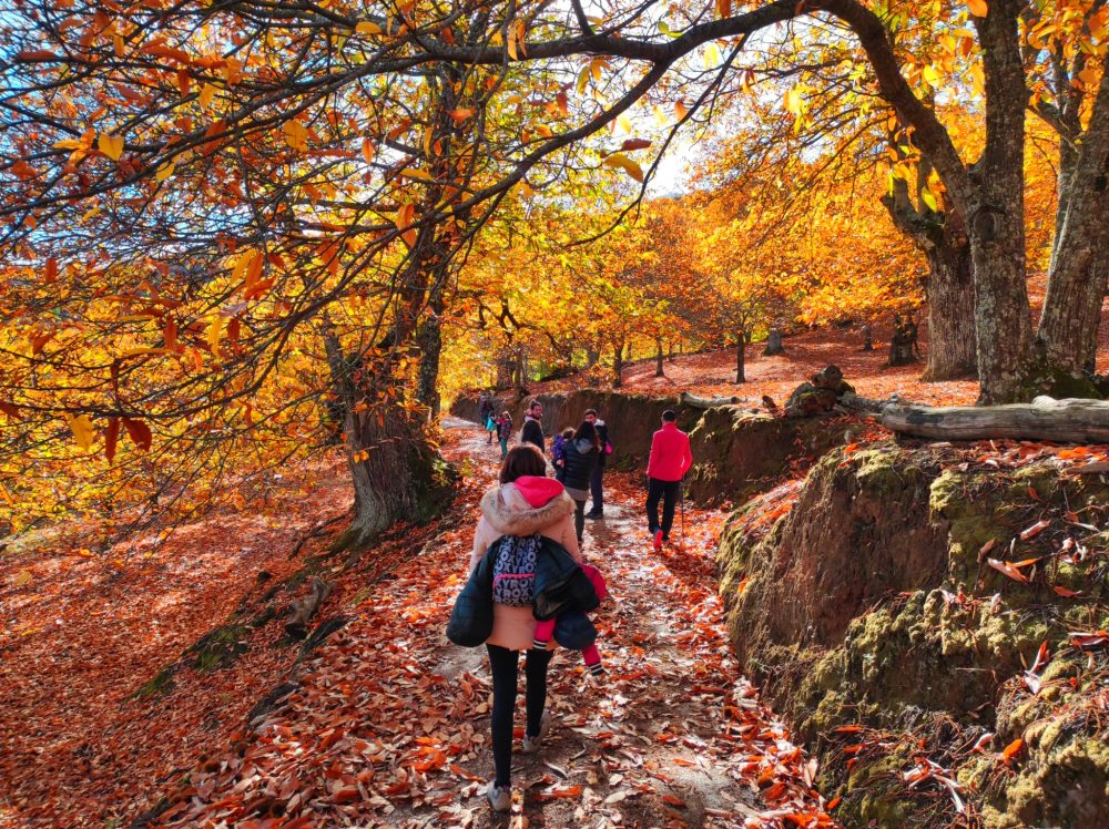 IMG 20221121 WA0001 E1762258422256